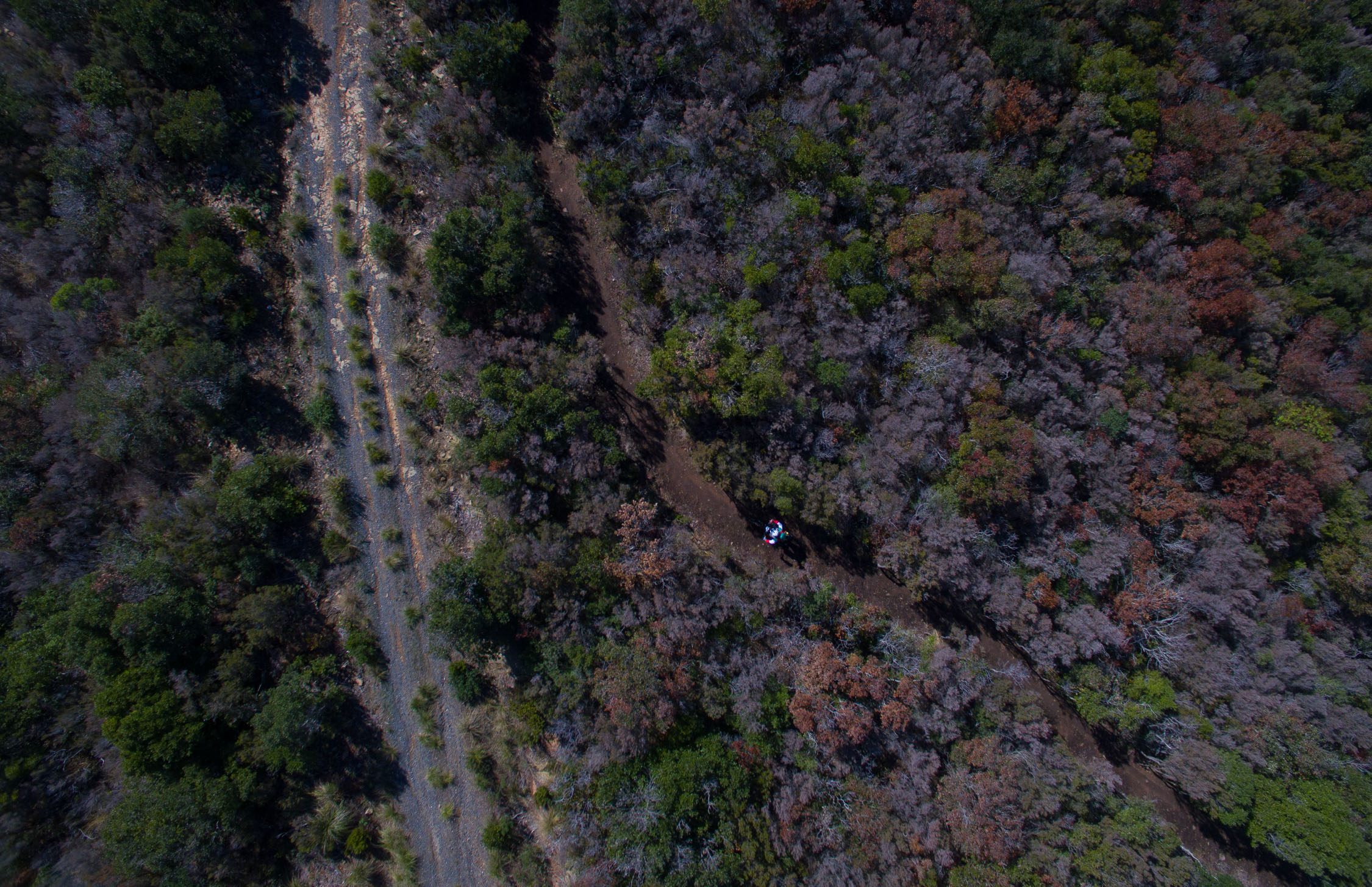 DJI 0014